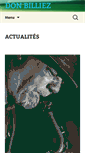 Mobile Screenshot of donbilliez.com